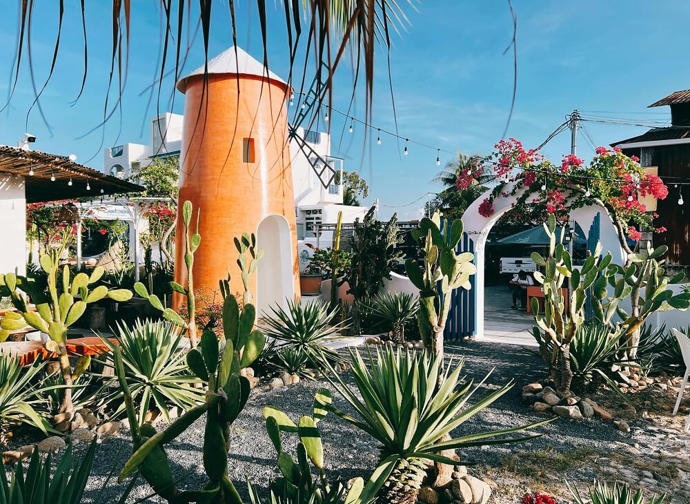 check in cối xay gió cam ranh