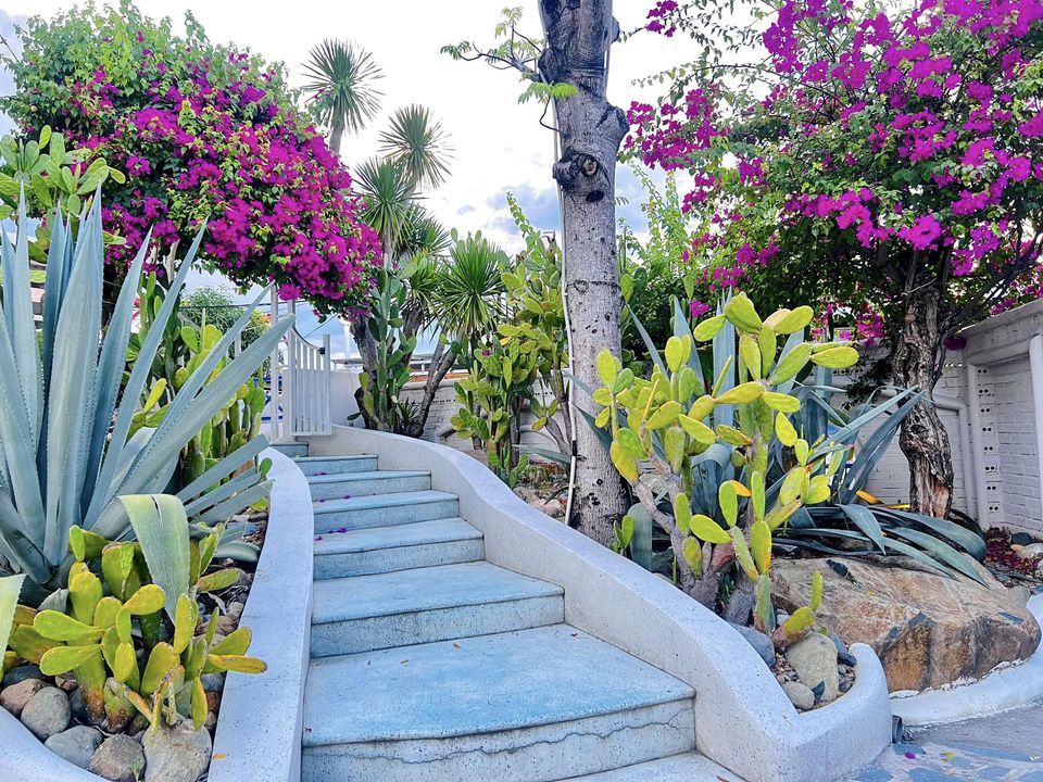 gốc chụp hình đẹp ở villa santorini cam ranh