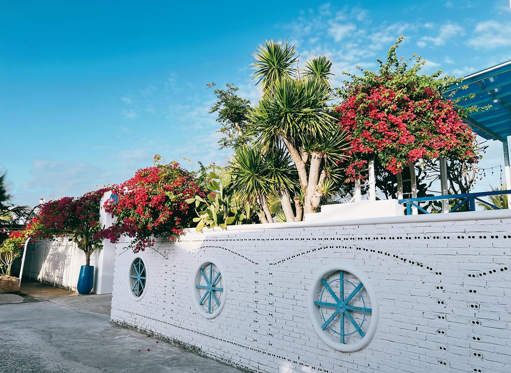 giàn hoa giấy trước cổng santorini villa