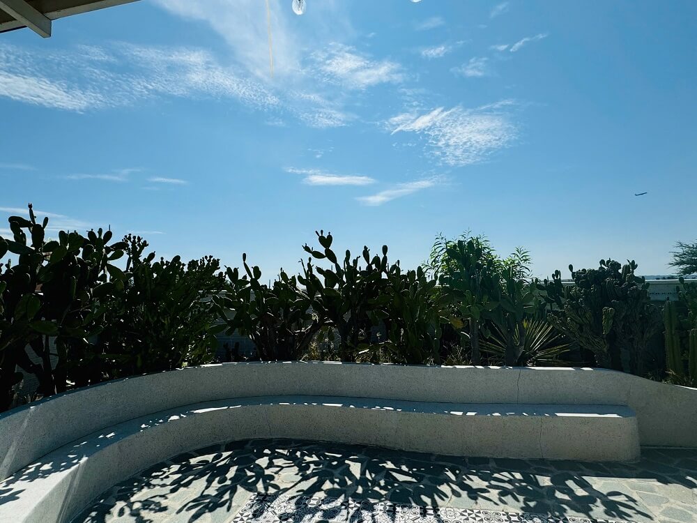 vườn xương rồng ở cam ranh