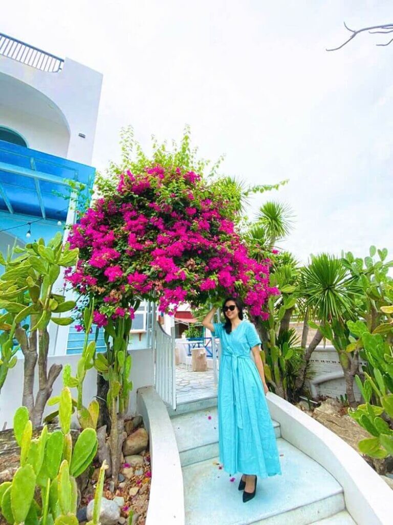 hotel đẹp nhất cam ranh