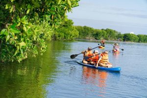 len lỏi qua từng ngạch nước ở rừng đước cam lâm